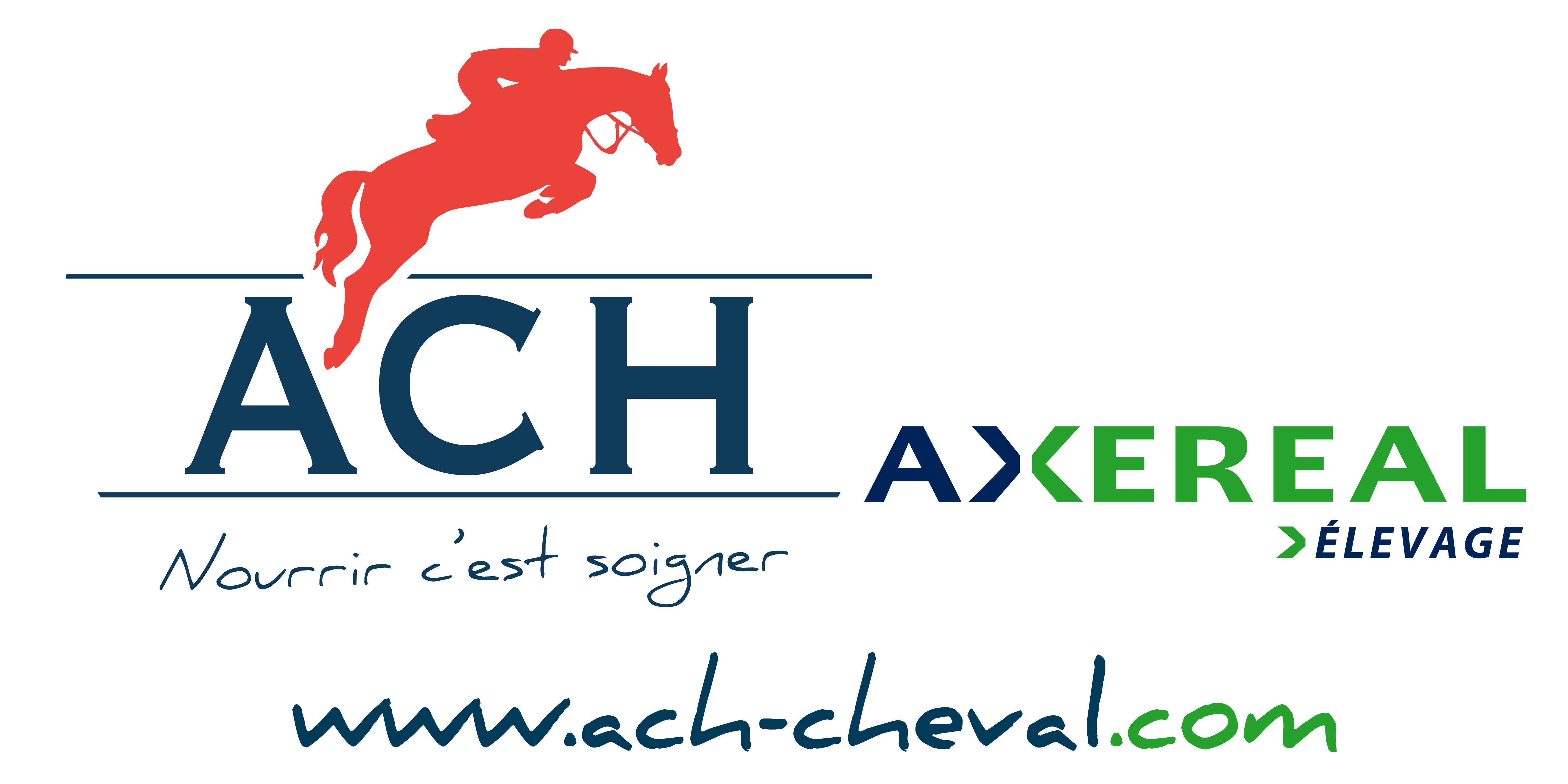 Logo axereale